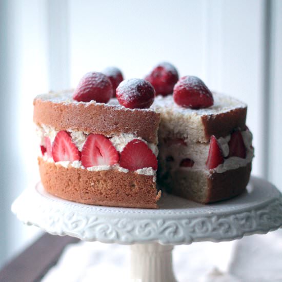 Japanese Strawberry Shortcake - Recipe photo by Bailey Ana Cakes
