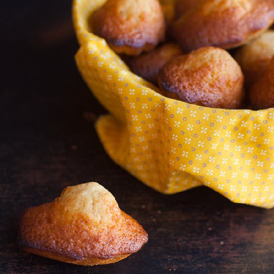 Honey Madeleine Cake - Recipe photo by bemiam