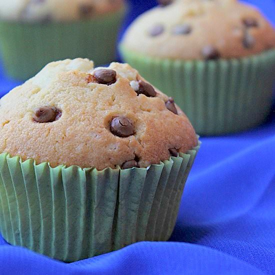 Chocolate Chip Muffins - Recipe photo by divyapramil