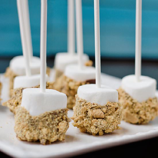 S'mores on a Stick - Recipe photo by craftymom