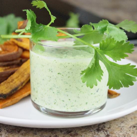 Jalapeno "Ranch" Dip & Baked Fries - Recipe photo by vividpantry