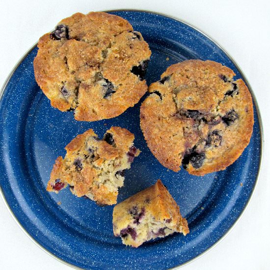 Blueberry Muffins - Recipe photo by rise and shine