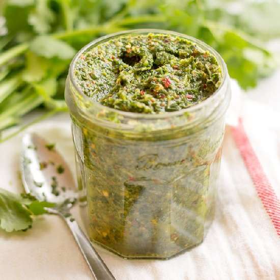 Skinny Chimichurri - Recipe photo by thestylistquo
