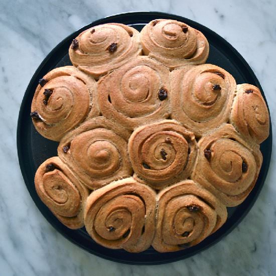 Vegan Cinnamon Raisin Buns - Recipe photo by Swiss MIss in the Kitchen