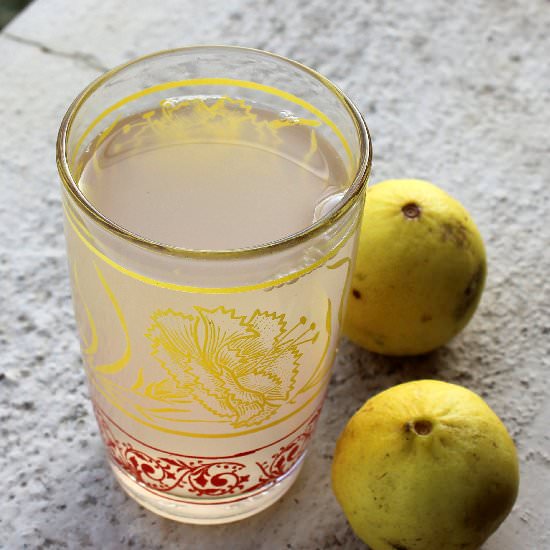 Ginger Lime Juice - Recipe photo by PriyaShiva