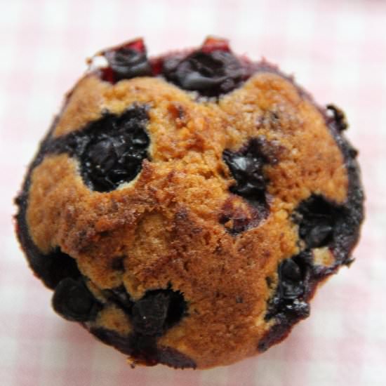 Muffins with Blueberries - Recipe photo by darka