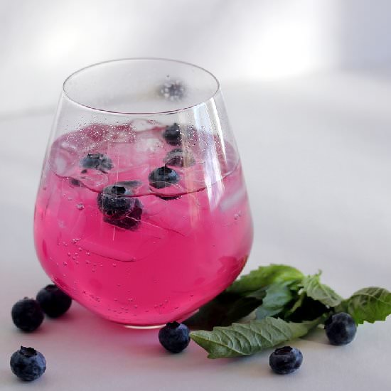 Blueberry Basil Soda Spritzer - Recipe photo by lisasdinnertimedish