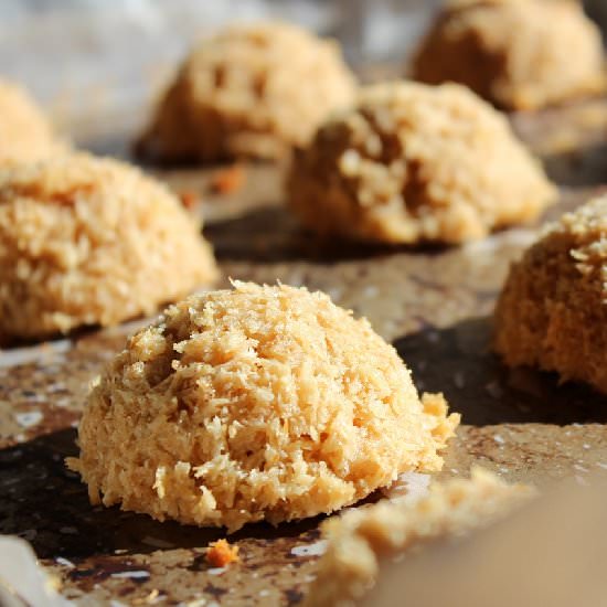 Paleo Coconut Macaroons - Recipe photo by leafparade