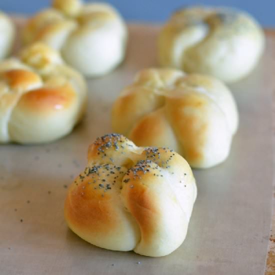 Overnight Refrigerator Rolls - Recipe photo by AnecdotesAppleCores