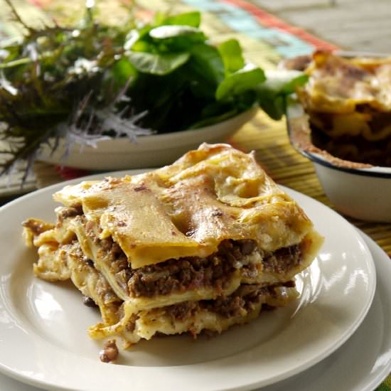 Dairy Free Lasagna - Recipe photo by HedgeComber