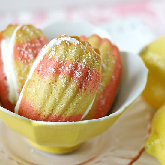 Pink Lemonade Madeleine Cookies - Recipe photo by yummycrumble