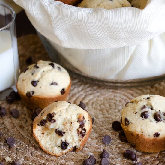 Chocolate Chip Muffins - Recipe photo by mommity