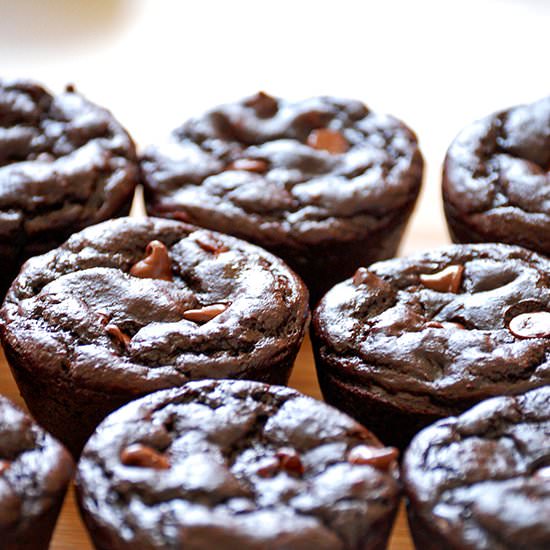 GF Skinny Chocolate Muffins - Recipe photo by emthebaker