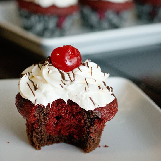 Fudgy Red Velvet Cupcakes - Recipe photo by mommity
