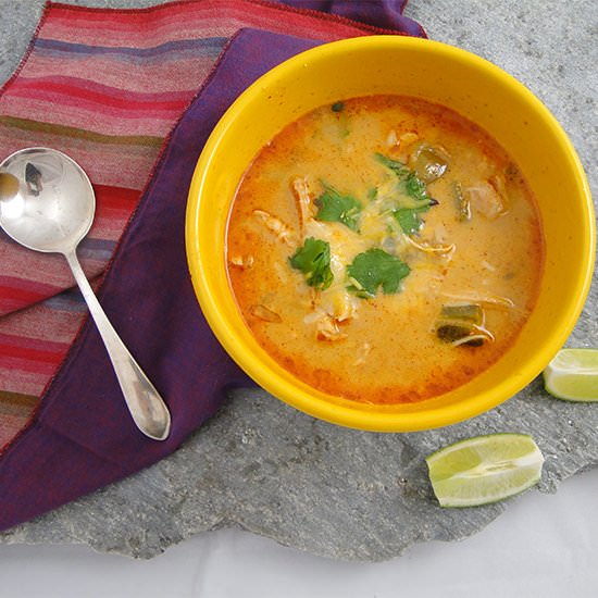 Chicken, Chile & Tomatillo Soup - Recipe photo by Something New For Dinner