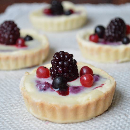 White Chocolate Tarts - Recipe photo by Caietul cu retete