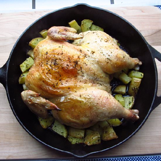 Lemon Rosemary Roasted Chicken - Recipe photo by Happy Food Happy Home