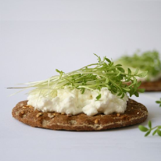 Toasts with Cottage Cheese - Recipe photo by herbsandco