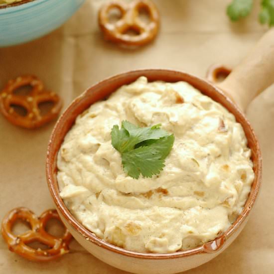 Caramelized Onion and Beer Dip - Recipe photo by slowcookergourmet