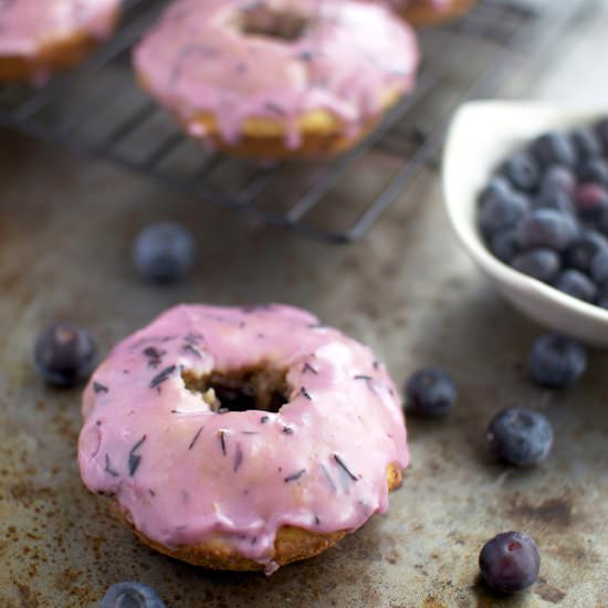 Chocolate Chip & Blueberry Donuts - Recipe photo by LSFoster2