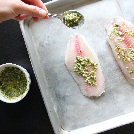 Nut & Dairy Free Cilantro Pesto - Recipe photo by deliacreates