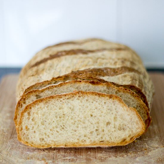 No Knead Mug Bread - Recipe photo by KitchenMason