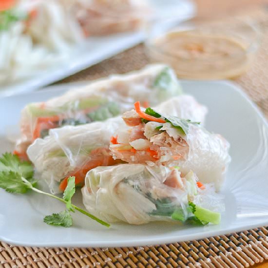 Chicken Jicama Salad Rolls - Recipe photo by salusalo