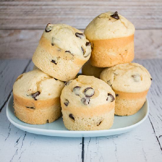 Fluffy and Light Chocolate Muffins - Recipe photo by pamelaz