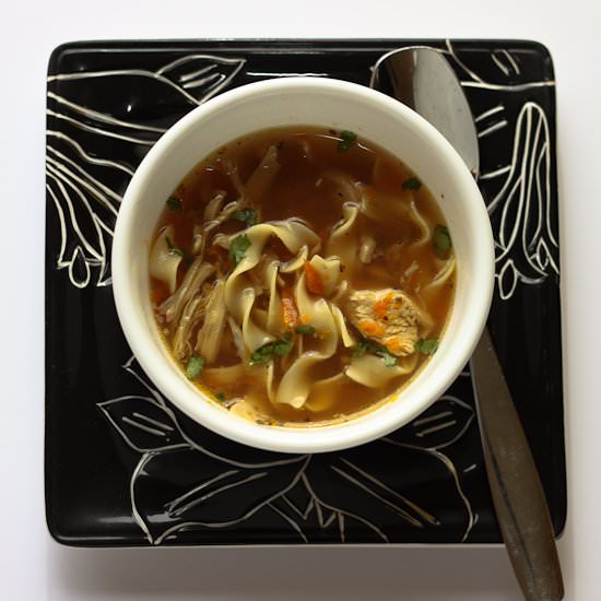 Kid Friendly Chicken Noodle Soup - Recipe photo by Dash of Reality