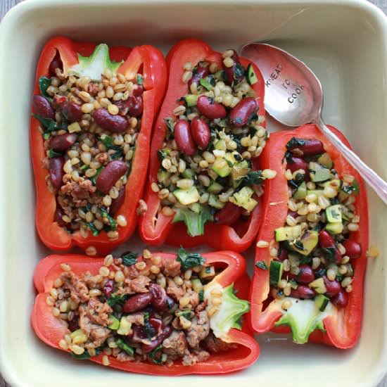 Wheat berry stuffed peppers - Recipe photo by kneadtocook