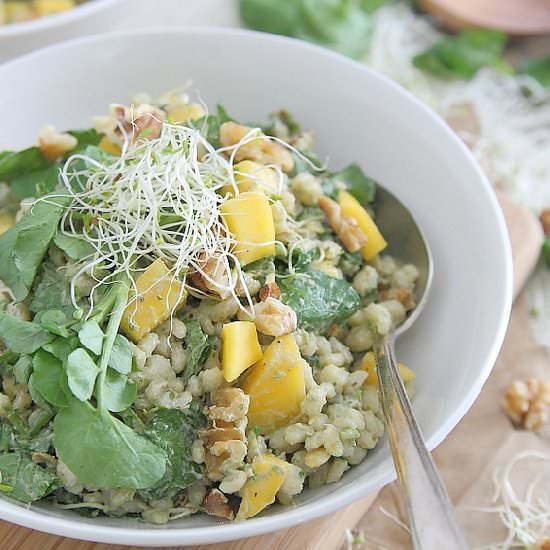 Barley Mango Salad - Recipe photo by Running to the Kitchen