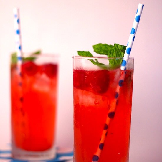 Raspberry Gin Fizz - Recipe photo by thedandylife