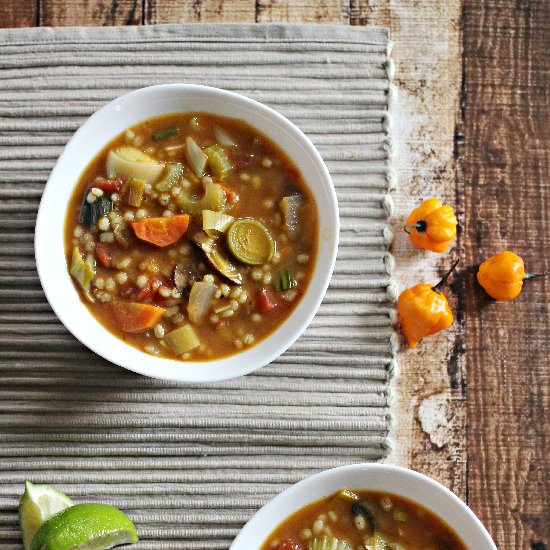 Spicy Barley and Vegetable Soup - Recipe photo by frugalmomeh