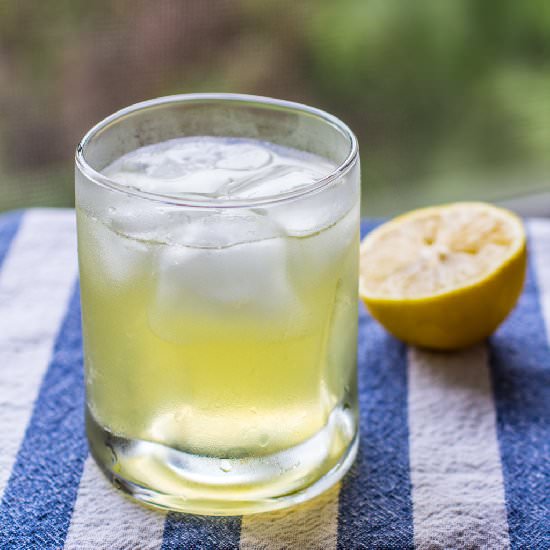 Bee's Knees Cocktail Recipe - Recipe photo by TheWateringMouth