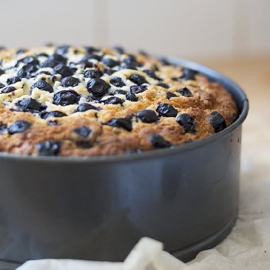 Blueberry Cake - Recipe photo by cityhippyfarmgirl
