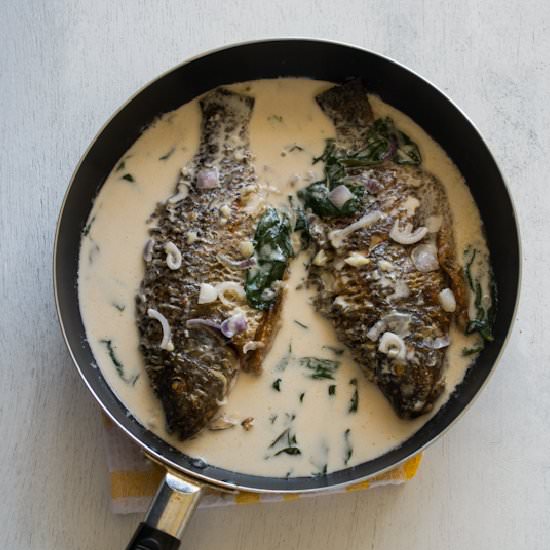 Fried Tilapia with Coconut Milk - Recipe photo by onechoppingboard