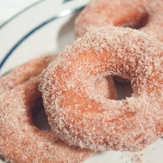 Four Ingredient Snow Day Donuts! - Recipe photo by thehomesteady