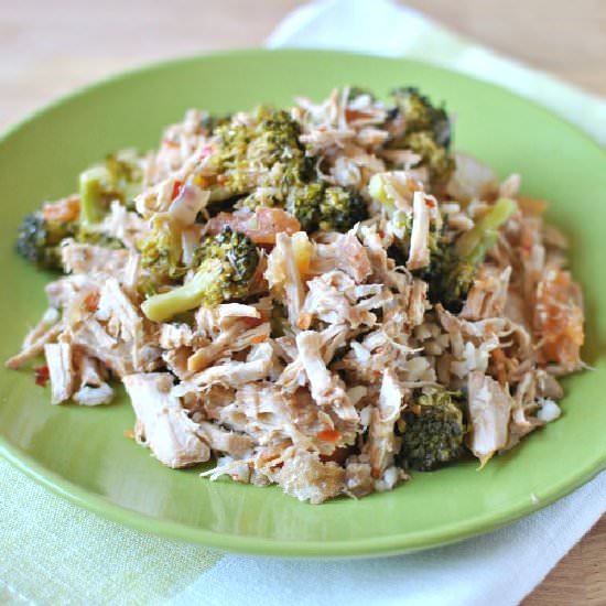 Slow Cooker Italian Pork - Recipe photo by rmbrosemer