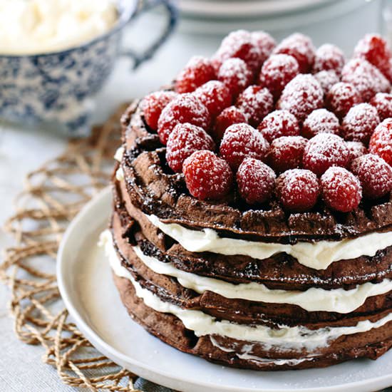 Dark Chocolate Waffle Cake - Recipe photo by foolproofliving.com