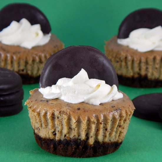 Thin Mint Cookie Cheesecakes - Recipe photo by FrostingandaSmile