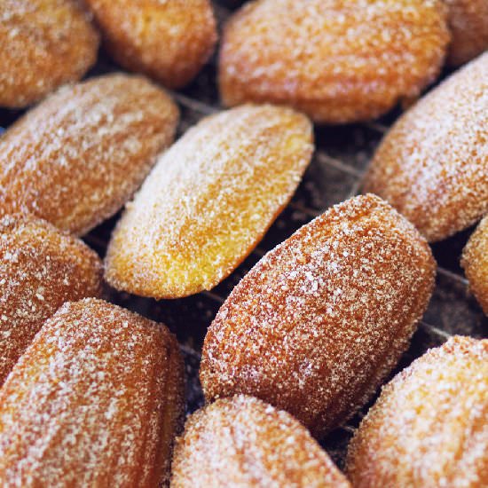 French Madeleines - Recipe photo by manisay