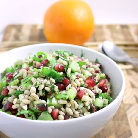 Barley and Pomegranate Salad - Recipe photo by First Time Foods