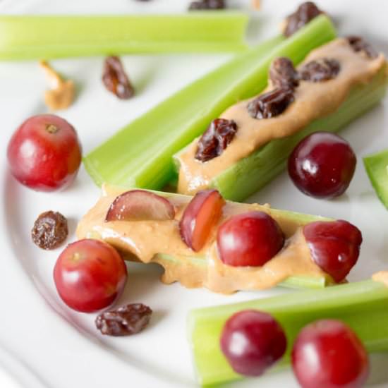 Ants on a Log - Recipe photo by nodietsallowed