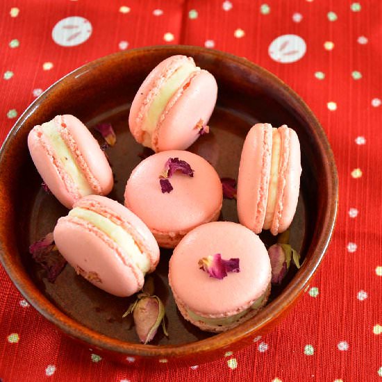 Rose macarons - Recipe photo by jothetartqueen