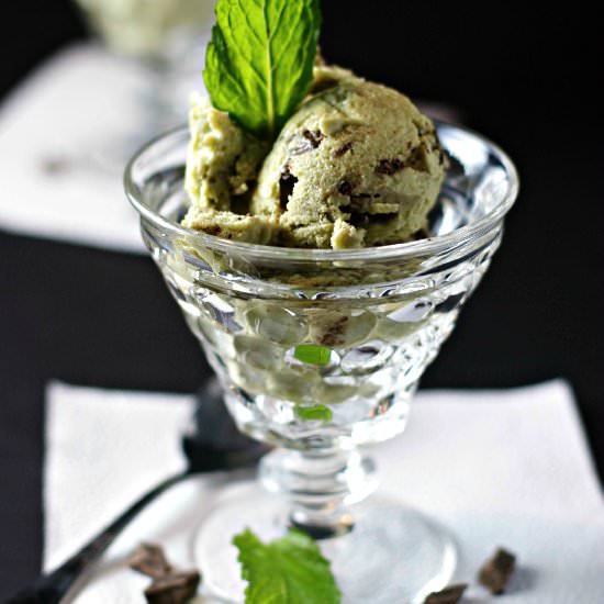 Vegan Mint Chocolate Chip Ice Cream - Recipe photo by crissy0316