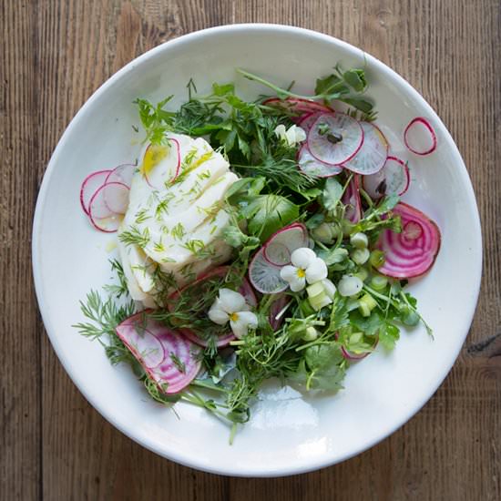 A Spring Salad w Poached Cod - Recipe photo by dagmarskitchen.se
