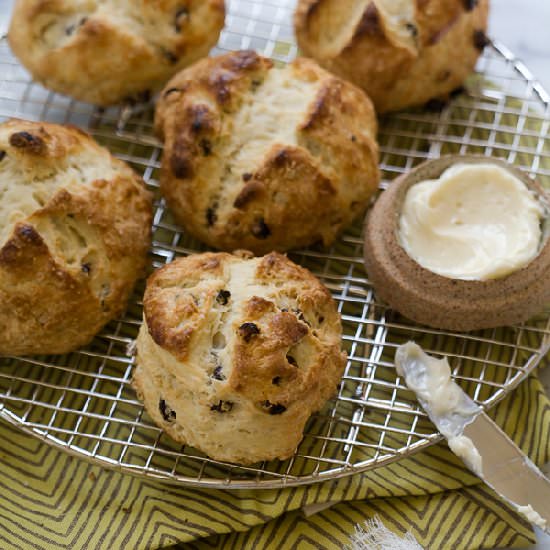 Irish Soda Bread Scones - Recipe photo by acozykitchen