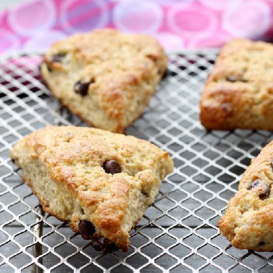 Chocolate Chip Ricotta Scones - Recipe photo by dawnkl