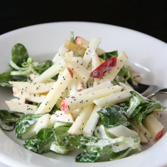 Kohlrabi, Apple & Mache Salad - Recipe photo by theseasonedtraveler
