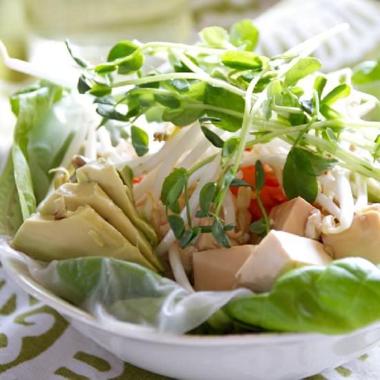 Vegan Tofu Spring Roll Bowls - Recipe photo by Just a Smidgen